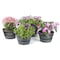 Gardenised Rustic Wood- Look Plastic Half Barrel Flower Pot Bucket Planter, PK 4 QI003696 - alternate 7